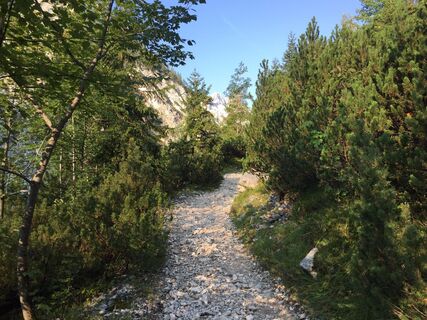 Wanderweg durch das Reintal
