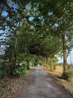 Photo de Alberto Ghiretti le long du parcours