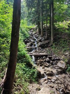 kleiner Wasserfall im Hochöder Graben