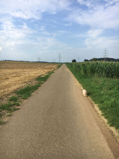 Bildstöckleweg Grosselfingen