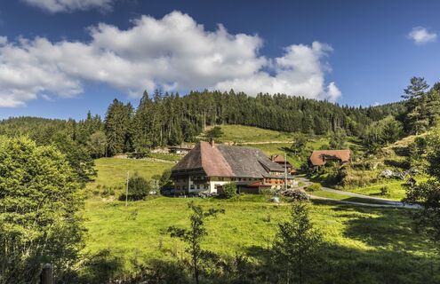 Schwarzwaldhof in St Georgen