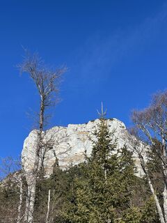 Zdjęcie z Susanne Roscher wzdłuż trasy