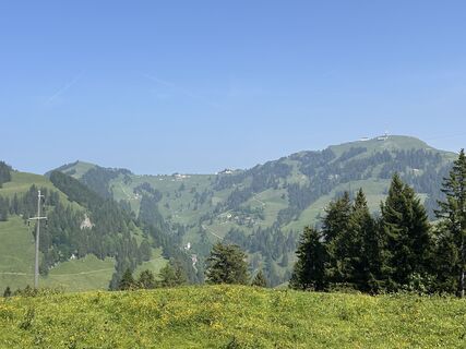 Fotografija s spletne strani reemyyse na poti