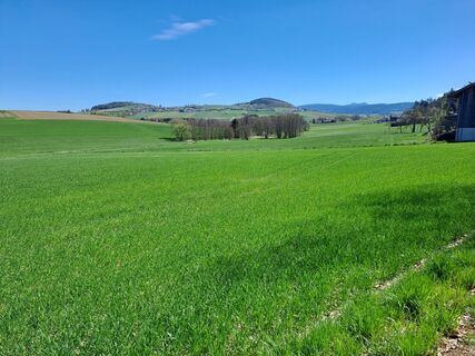 Foto de Wanderbursche66 a lo largo del recorrido