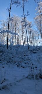 Foto von Harald Paroubek entlang der Tour