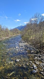 Foto von Mangolein entlang der Tour