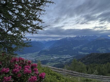 Foto von Petra Egger entlang der Tour