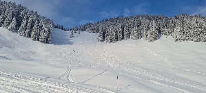 Fotó a Afa honlapról a túra során