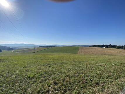 Fotografia z F. Shirazi-Joska na trase