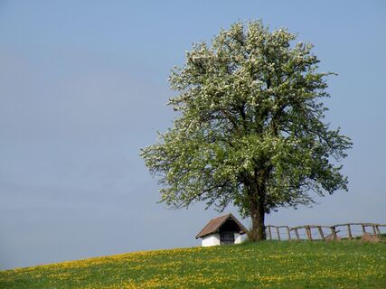 Landschaft Mürzhofen, Nähe Gehöft Spuler
