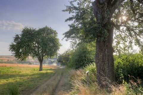 Hügellandschaft im Kraichgau | HeilbronnerLand