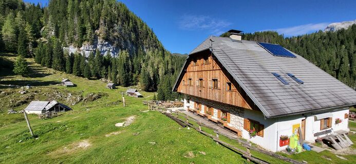 Foto fra Igor napast undervejs på turen