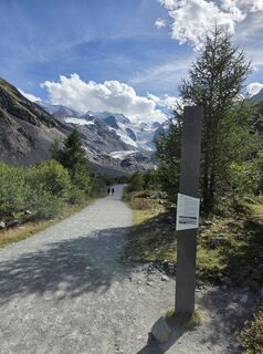 Photo de reburk le long du parcours
