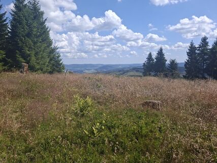 Photo de Georg Meisterjahn le long du parcours