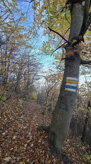 Foto von Hieu Duc Tram entlang der Tour