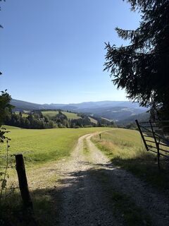 Foto de Andreas Vogel 1 a lo largo del recorrido