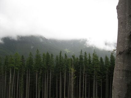 Vom Preiner Gscheid zum Semmering
