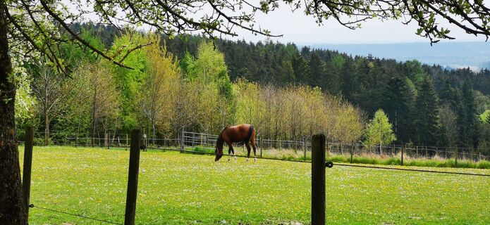 Foto von Klaus Lehner entlang der Tour