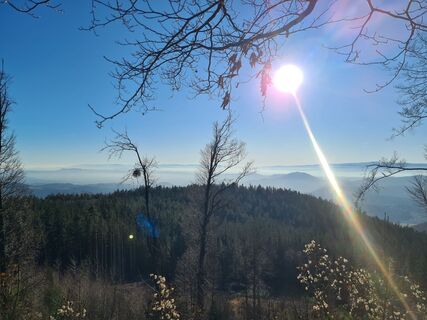 Foto von Hans Reiter 2 entlang der Tour