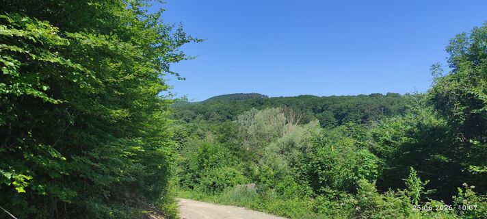 Foto von adamwien entlang der Tour