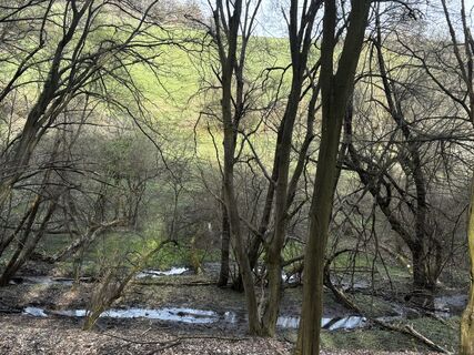 Foto de Reti Alicia a lo largo del recorrido