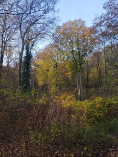 Fotografie de la Meszaros Marianna de-a lungul turului