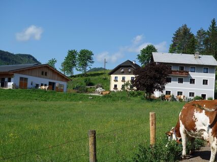 Bauernhof Feldbauerhof