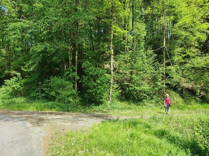 Abzweig von der Haugsteinstraße