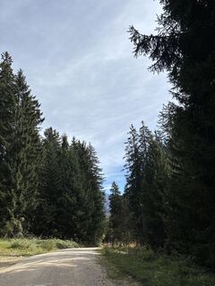Foto von Heinz Sperl entlang der Tour