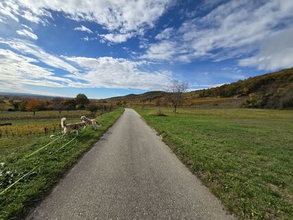 Fotografie de la Thomas Hillinger de-a lungul turului