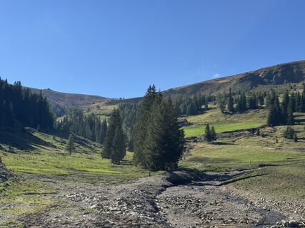Foto von Ingeborg Steindl entlang der Tour