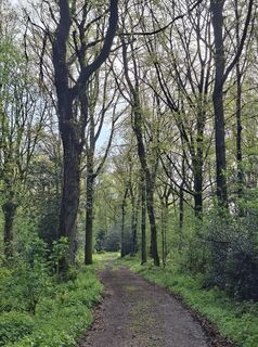 Photo de Yolanda de le long du parcours
