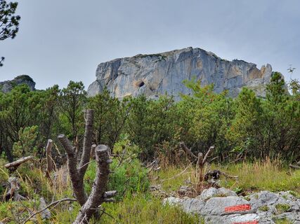 Foto von Gabriele R entlang der Tour