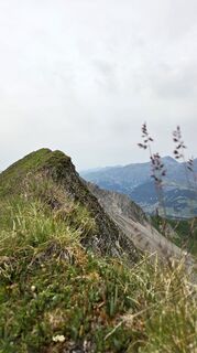 Foto de Franziska a lo largo del recorrido