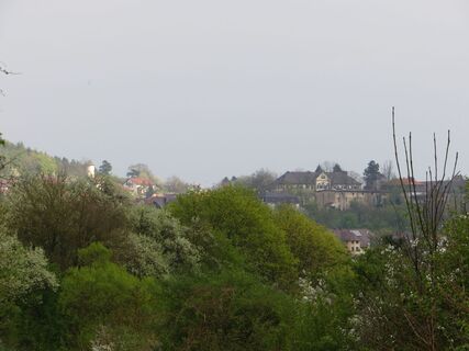 Térkép