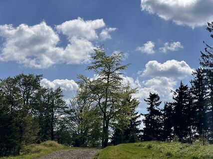 Foto von Norbert Herbig entlang der Tour