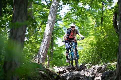 MTB Wienerwald