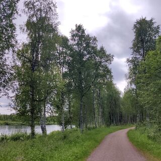 Der Weg führt entlang von Flusslandschaften und durch Bäume.
