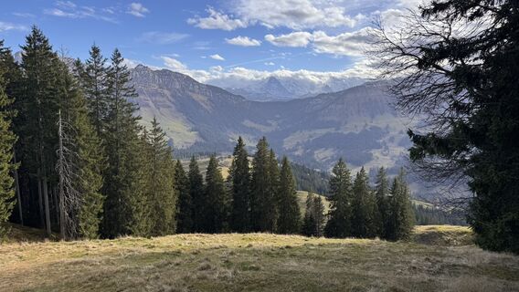 Fotografija s spletne strani peter_oe na poti