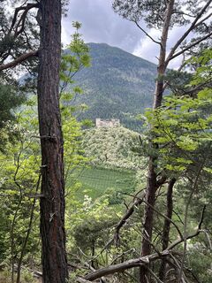 Foto från Peter Schäfer under resans gång