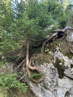 Zdjęcie z Wilhelm Böning wzdłuż trasy