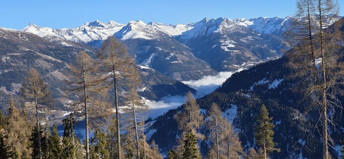 Fotografija s spletne strani JPseines na poti