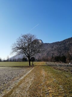 Foto von Brigitte Rottmann entlang der Tour