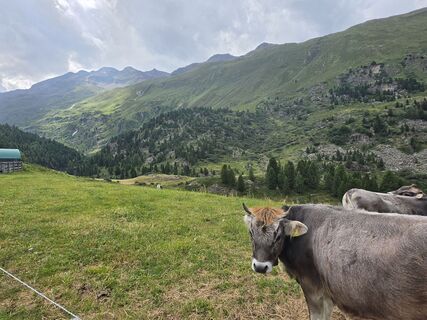 Photo de Gudrun Lippert le long du parcours