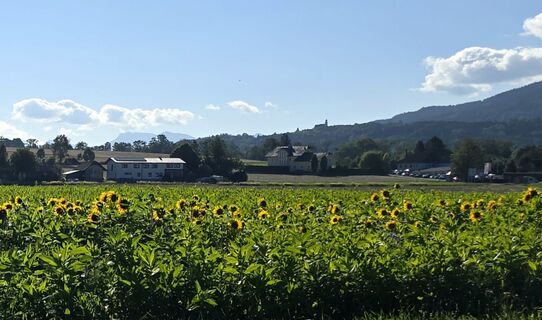 Scharnstein, Hutkogel und Hochsalm