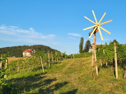 Foto von BergfexxMaxx entlang der Tour