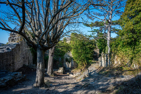 Photo de Ekhard Oberleitner le long du parcours