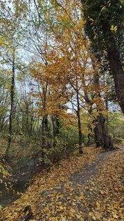 Foto von Claudia Maurer entlang der Tour