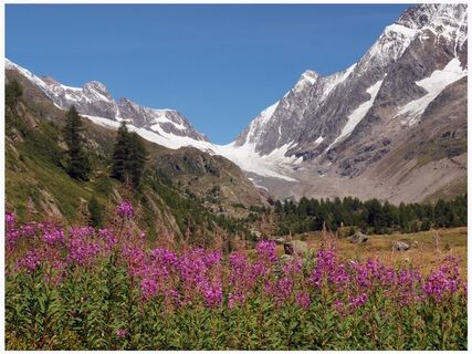 Rundwanderung Anenhütte