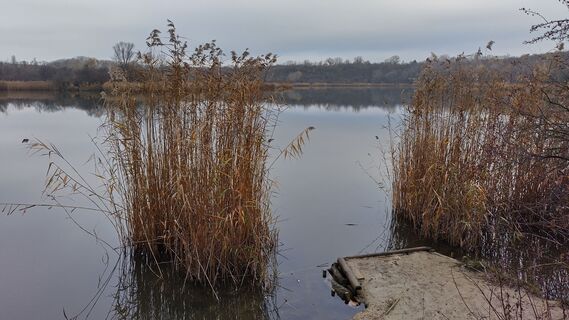 Foto von bergwolfi entlang der Tour